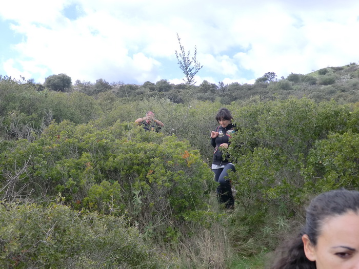 Foto de  Por la Sierra del Castillo de Espiel