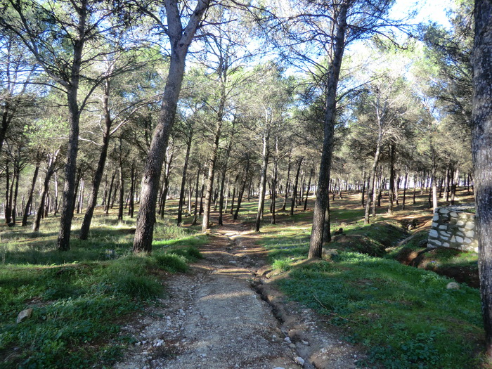 argazkia Subida a la Sierra de Rute