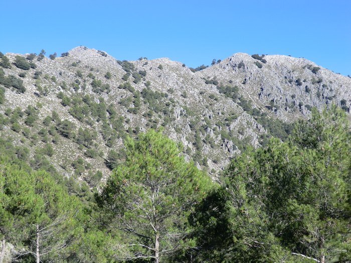 argazkia Subida a la Sierra de Rute